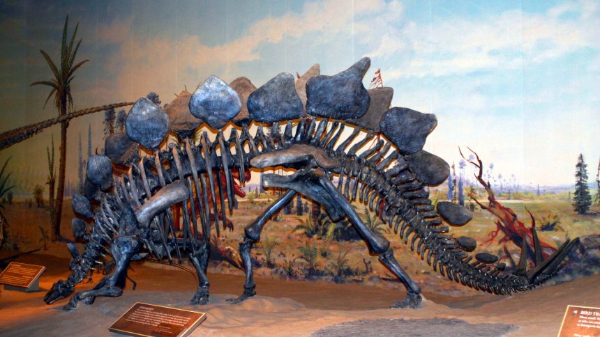 royal tyrrell dinosaur museum alberta kanada
