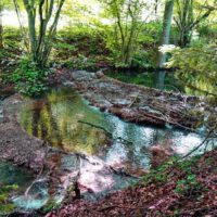 Kaisinger Tal - Wanderweg Nr. 5 (Landkreis Roth) 1 kalksinterterrassen kaising kaisinger tal mittelfranken geotop