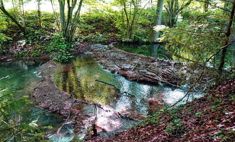 Kaisinger Tal - Wanderweg Nr. 5 (Landkreis Roth) 2 kalksinterterrassen kaising kaisinger tal mittelfranken geotop