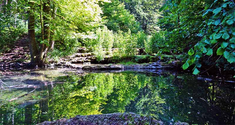 Kaisinger Tal - Wanderweg Nr. 5 (Landkreis Roth) 7 sinterterrassen kaisinger tal greding altmühltal
