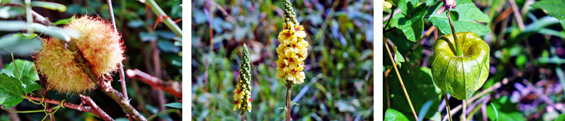 Kaisinger Tal - Wanderweg Nr. 5 (Landkreis Roth) 10 kaisinger tal wandern altmühltal greding