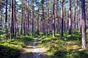 Weinberg-Rednitztal-Rundwanderung (Landkreis Roth) 8 weinberg rednitz weg roth wandern mittelfranken