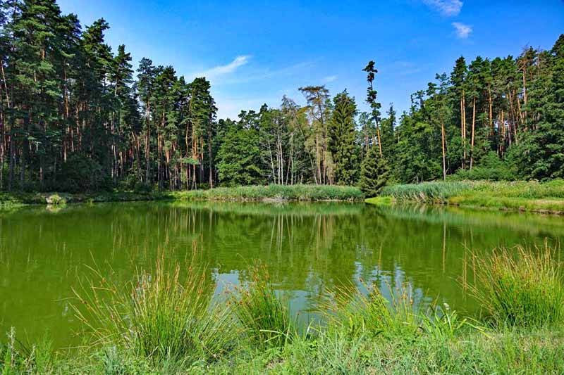 Weinberg-Rednitztal-Rundwanderung (Landkreis Roth) 11 weinberg-rednitztal wanderung roth mittelfranken