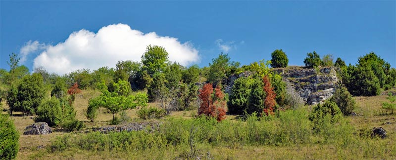 Wacholderwanderweg (Landkreis Amberg-Sulzbach) 5 zweitagestour bayern oberpfalz wacholderwanderweg lauterachtal