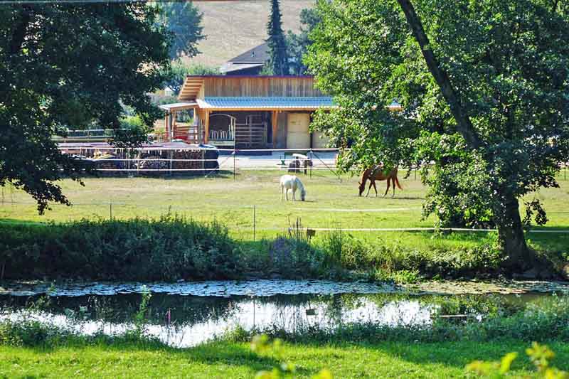 Wacholderwanderweg Teil 1 (Schmidmühlen - Hohenburg) 6 wacholderwanderweg zweitagestour oberpfalz toskana bayern