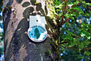 Wacholderwanderweg (Landkreis Amberg-Sulzbach) 3 wegweiser beschilderung wacholderwanderweg