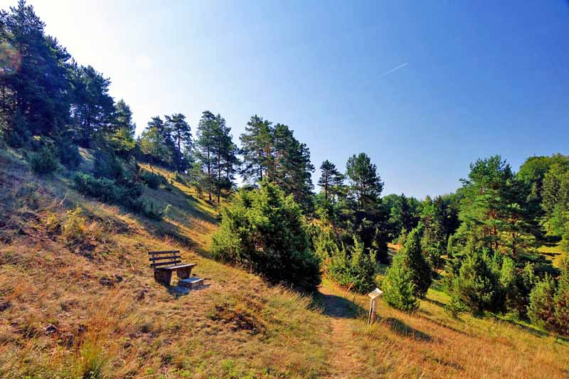 Wacholderwanderweg (Landkreis Amberg-Sulzbach) 14 oberpfälzer toskana bayerische wacholderwanderweg oberpfalz