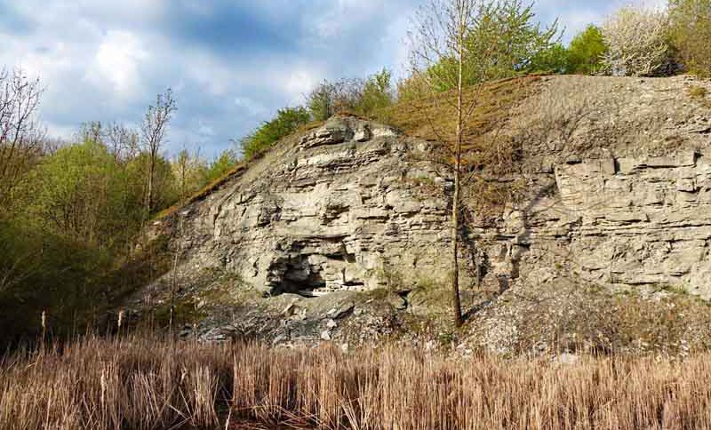 Wandern im Landkreis Ansbach - Auf dem Lehrpfad um das Geotop Gipsbruch Endsee 2 geotop gibsbruch endsee steinbruch wandern ausflug lk ansbach