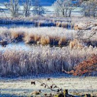 Auf dem Schönfeldweg zum Naturschutzgebiet Scheerweiher (Ansbach) 33 schönfeldweg ansbach nsg scheerweiher wanderung frankenhöhe