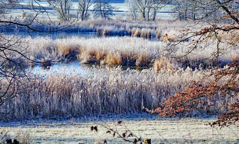 Auf dem Schönfeldweg zum Naturschutzgebiet Scheerweiher (Ansbach) 2 schönfeldweg ansbach nsg scheerweiher wanderung frankenhöhe