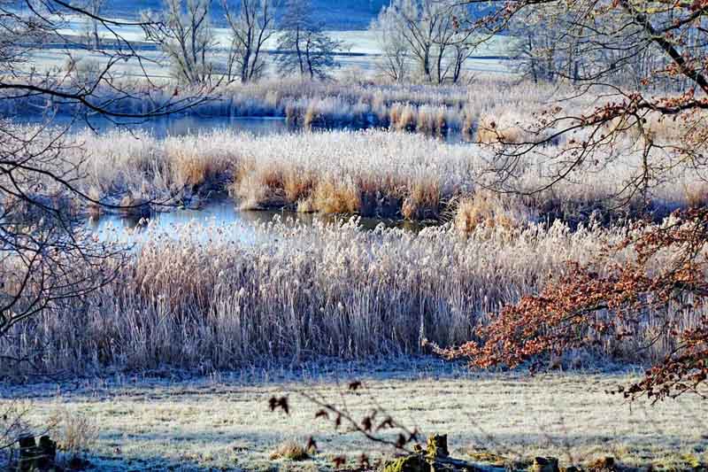 schönfeldweg ansbach nsg scheerweiher wanderung frankenhöhe