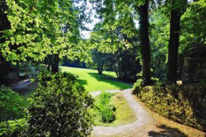 SCHLOSS FANTAISIE 14 alte bäume schlosspark fantaisie donndorf bayreuth