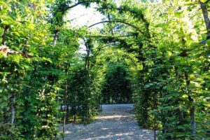 SCHLOSS FANTAISIE 8 labyrinth mit brunnen schlosspark fantaisie bayern