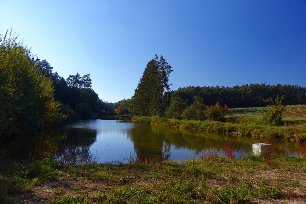 Weiher am Ortsausgang von Aurau auf dem Rundwanderweg