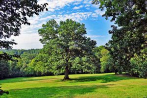 SCHLOSS FANTAISIE 16 schloss fantaisie bayreuth donndorf fränkische schweiz