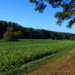 wandern aurachtal büchenbach landkreis roth