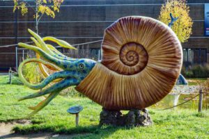 dinosaurier museum altmühltal dinopark bayern ammonit