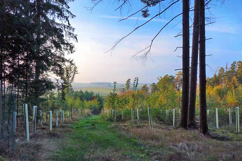 Laibstädter Geschichtsweg (Landkreis Roth) 18 laibstädter geschichtsweg mittelfranken premiumwanderweg
