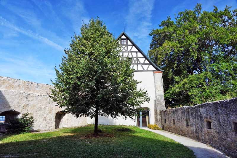 BURG ZWERNITZ 4 sanspareil wonsees burg zwernitz besichtigung museum