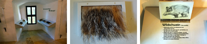 BURG ZWERNITZ 3 jagdausstellung museum burg zwernitz bayreuth oberfranken