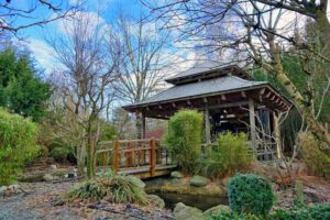 LOTOSGARTEN - ROTHENBURG OB DER TAUBER 9 leyk lotosgarten japanischer garten rothenburg winter