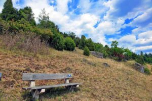 Wacholderwanderweg Teil 1 (Schmidmühlen - Hohenburg) 20 wacholderwanderweg oberpfalz trockenrasen biotop lauterach hohenburg