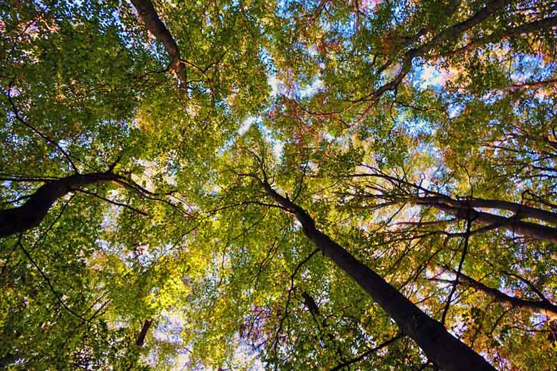 Laibstädter Geschichtsweg (Landkreis Roth) 16 wandern franken mittelfranken altmühltal bayern naturpark