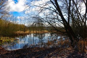rednitztal wandern stein bei nürnberg abenteuer familien