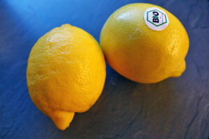 KRÄUTERBUTTER SELBER MACHEN - unsere liebsten Rezepte 11 kräuterbutter selber machen rezept zitronen thymian