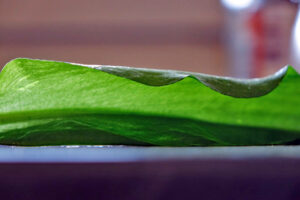 KRÄUTERBUTTER SELBER MACHEN - unsere liebsten Rezepte 8 Kraeuterbutter selber machen Baerlauch Baerlauchbutter ohne Knoblauch Alternative