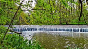 wanderung loreleiweg georgensgmünd