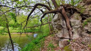 lorelei felsen georgensgmünd loreleiweg wandern
