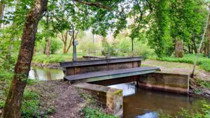driessleinsteig georgensgmünd wandern loreleiweg