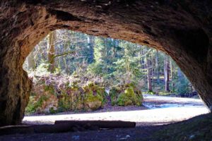 Von der Teufelshöhle zum Hasenloch - Rundwanderung um Pottenstein (Fränkische Schweiz) 26 auerhahnweg wandern veldensteiner forst lochstein fränkische schweiz