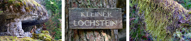 Auerhahn-Rundweg im Veldensteiner Forst (Lk Bayreuth) 10 fränkische schweiz naturpark bayern franken