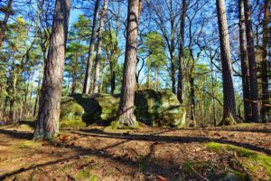 druidenstein auf dem druidenweg georgensgmünd altmühltal fränk seenland