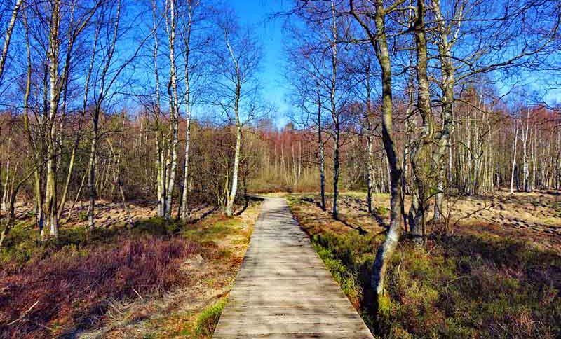 rotes moor rhön extratour wanderung