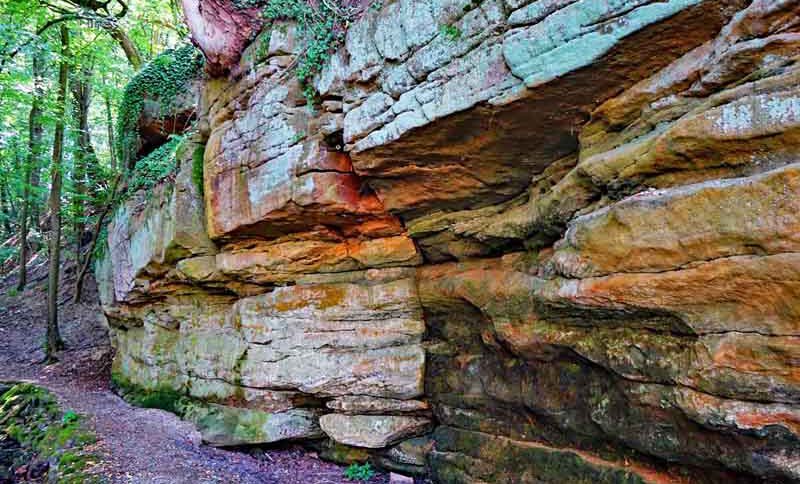 Salamanderweg Eckersdorf (Oberfranken) 2 salamanderweg eckersdorf bayreuth oberfranken schloss fantaisie