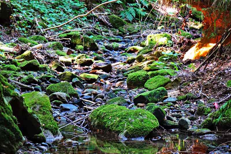 Geheimnisvolle Gräben, Schluchten und Klammen in Franken 15 salamanderschlucht eckersdorf schloss fantaisie bayreuth