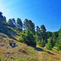 Wacholderwanderweg Teil 3 (Rundweg in Kastl) 17 wacholderwanderweg teil 3 markt kastl rundweg