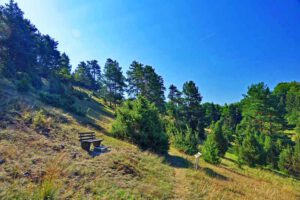 Wacholderwanderweg Teil 1 (Schmidmühlen - Hohenburg) 28 wacholderwanderweg teil 3 markt kastl rundweg