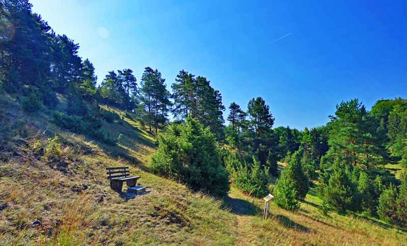 wacholderwanderweg teil 3 markt kastl rundweg