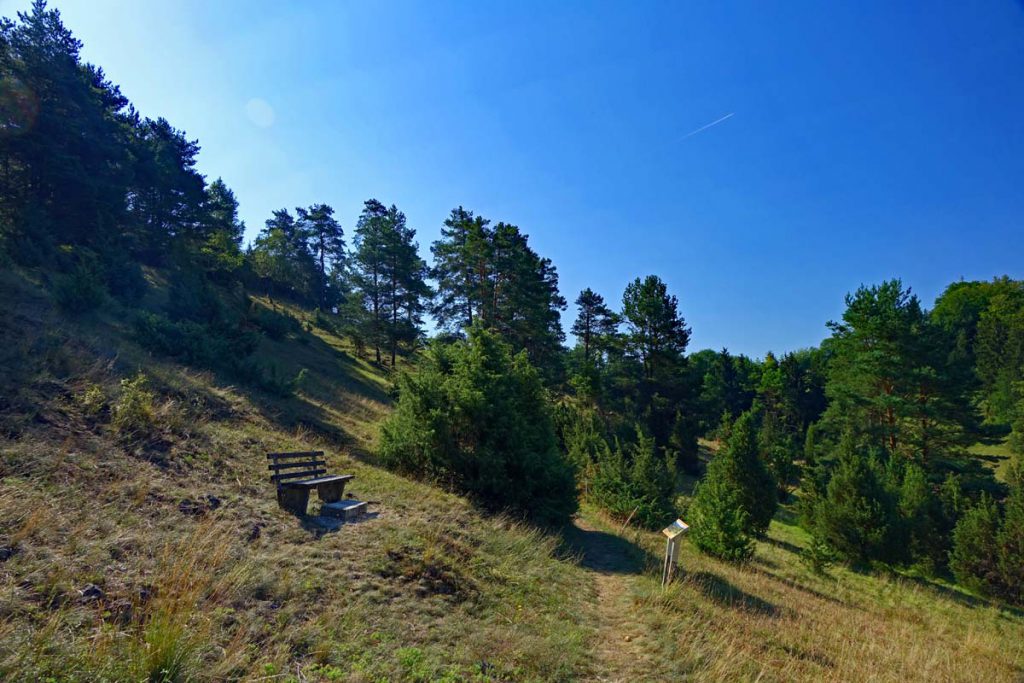 wacholderwanderweg teil 3 markt kastl rundweg