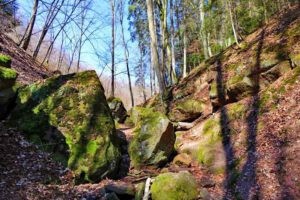 Massendorfer Schlucht bei Spalt (Lk Roth) 12 spalter hopfenland wandern massendorfer schlucht