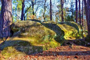Auf Entdeckertour in der Römerstadt Weißenburg (Mittelfranken) 33 druidenweg wandern georgensgmünd mittelfranken