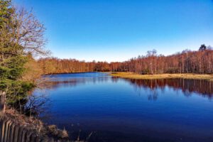 Urwald-Naturlehrpfad Lösershag (Rhön) 20 moorsee rotes moor rhön extratour