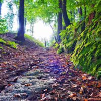 Espanrunde Thalmässing 1 espan runde thalmässing altmühltal wanderung