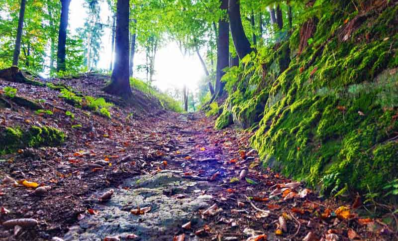 espan runde thalmässing altmühltal wanderung