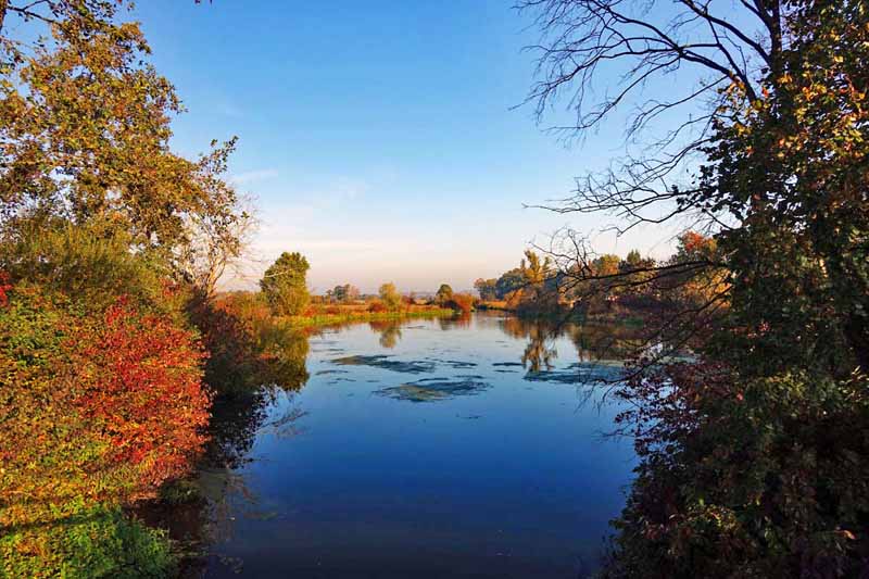 Rundwanderung um den Altmühlsee (Fränkisches Seenland) 19 wandern altmühlsee rundweg altmühltal bayern