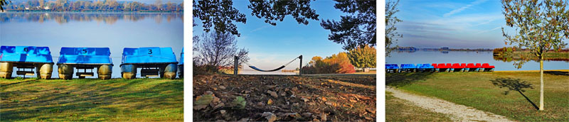 Rundwanderung um den Altmühlsee (Fränkisches Seenland) 20 wandern altmühltal altmühlsee schlungendorf wanderung